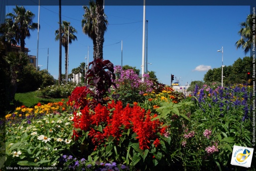 Toulon en fleurs