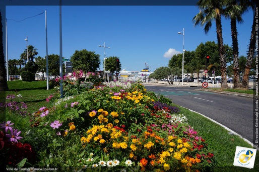 Toulon en fleurs