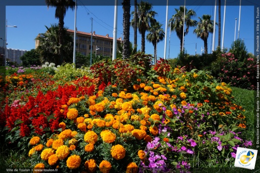 Toulon en fleurs