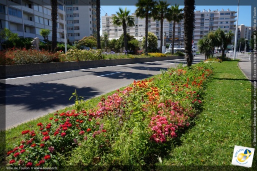 Toulon en fleurs